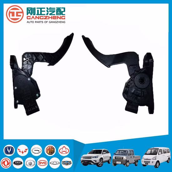 Auto Parts Car Accelerator Pedal for D5 (OEM: CK110+8100U1)