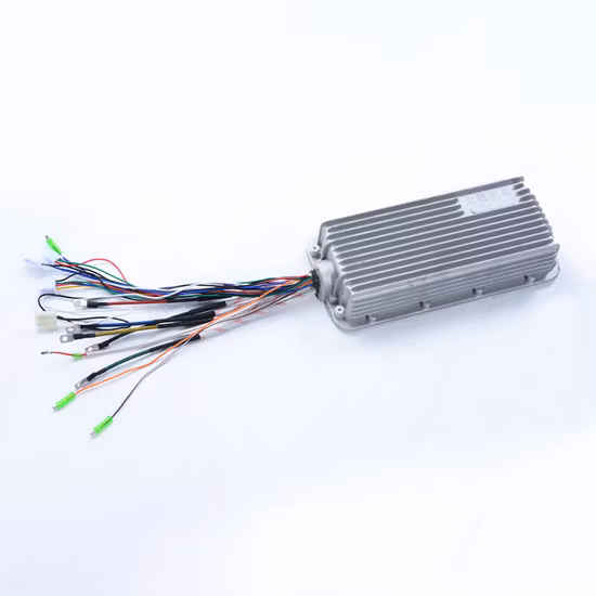 Datai 2000W Gear Motor and Controller Easy