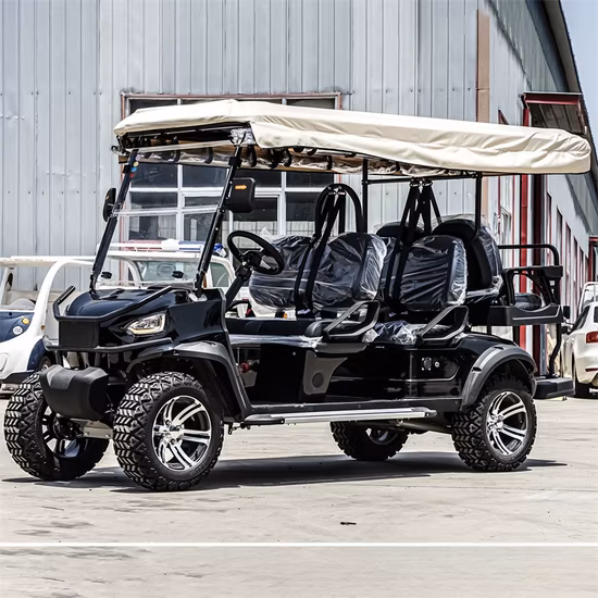 CE Approved 2 Seat Battery Powered Electric Aluminum Golf Cart and Controller