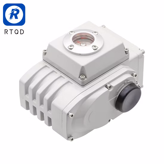 AC Motor 110V 220V 6